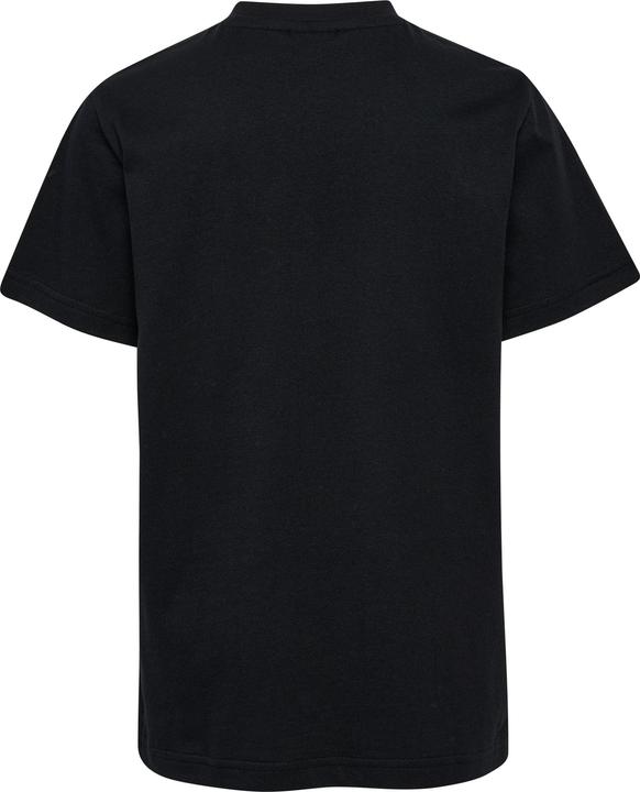 Actual product image hummel hmlTUKAS T-SHIRT S/S 2-PACK (104)