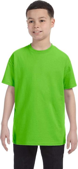 Actual product image Gildan T-shirt with round neck, short sleeves (L)