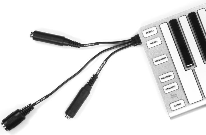 Actual product image ESI Audiotechnik Xkey37 (Keyboards)