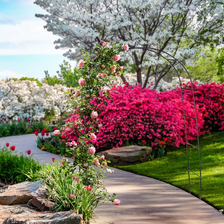 Actual product image Relaxdays Rose arch (38.50 cm, 140 cm)