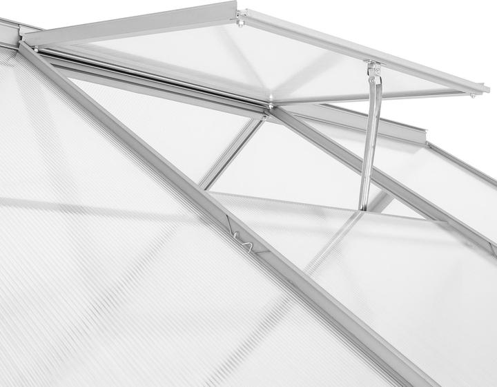 Actual product image tectake Leaning greenhouse