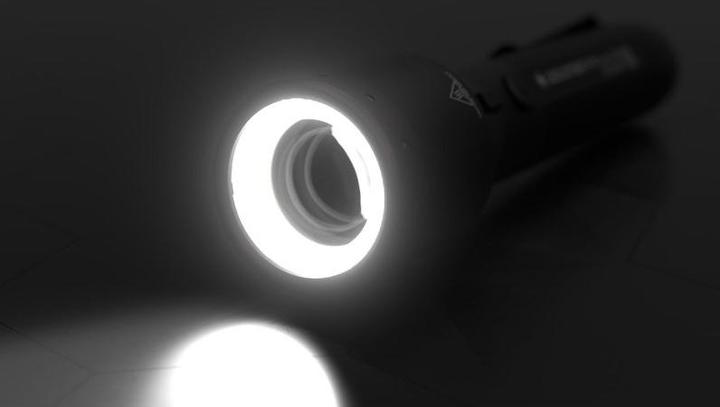 Actual product image Ledlenser Torch (17.60 cm, 1000 lm)