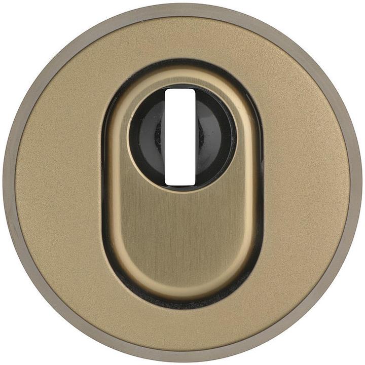 Actual product image Abus RHZS415 F4 EK Protective escutcheon, bronze