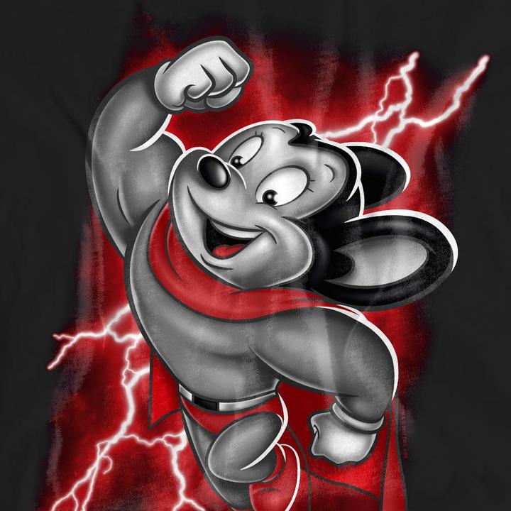 Produktbild Fruit of the Loom Mighty TShirt (S)