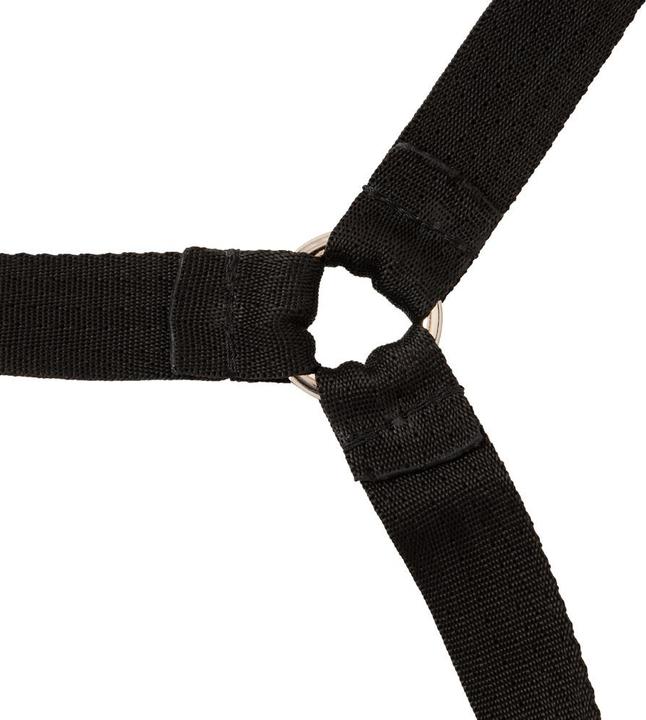 Produktbild Zado Leder Bettfessel