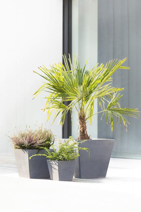 Produktbild Ecopots Rotterdam (40 cm)