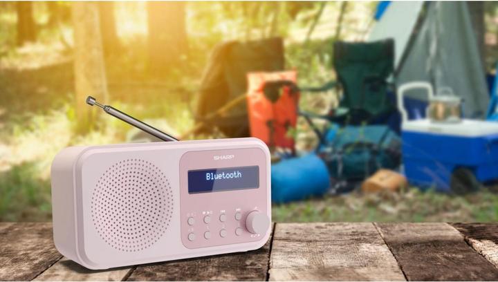Actual product image Sharp DR-P420 (DAB+, DAB, FM, Bluetooth)