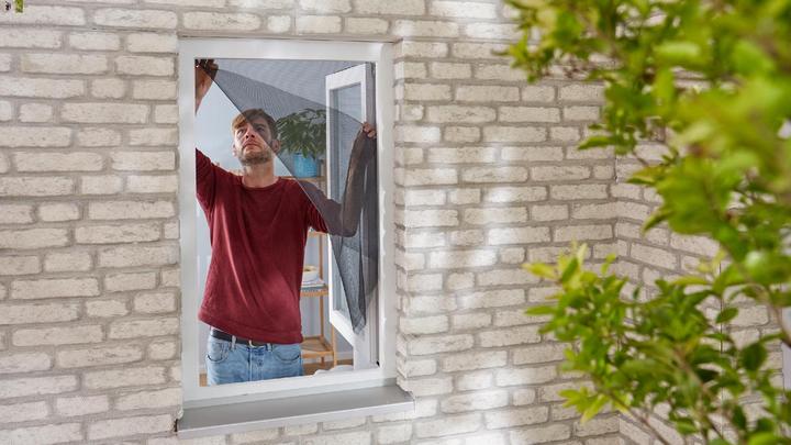 Actual product image tesa Fly screen window, white (130 x 150 cm)