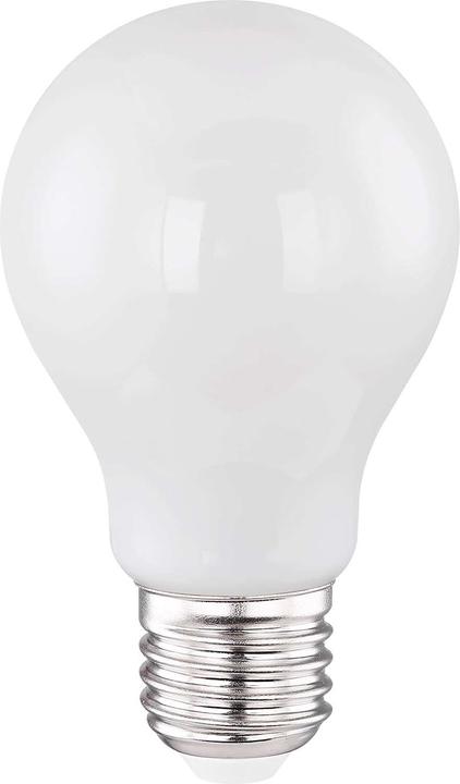 Immagine prodotto Globo Lampadina a LED argento metallizzato 1xE27 LED (E27, 6.50 W, 10 x, F)