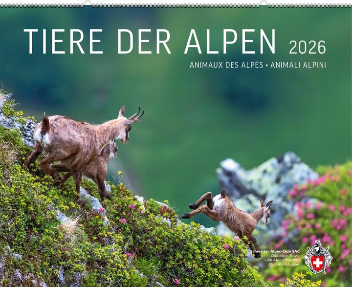 Produktbild Tiere der Alpen 2026 (Deutsch)