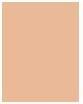 Actual product image Rimmel London Match Perfection SPF20 (203 True Beige)