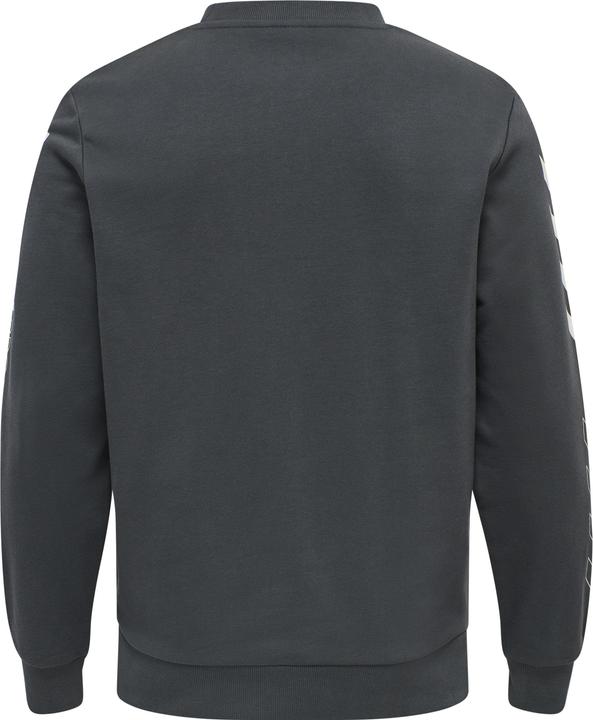 Actual product image hummel Lgc Birk Sweatshirt (M)