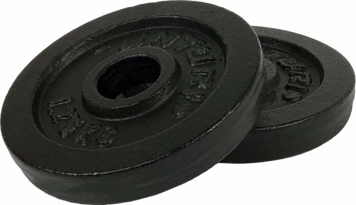 Image du produit Tunturi Gusseisen 1.25 kg Gewichtscheibenpaar 30 mm (2 x 1,25 kg)