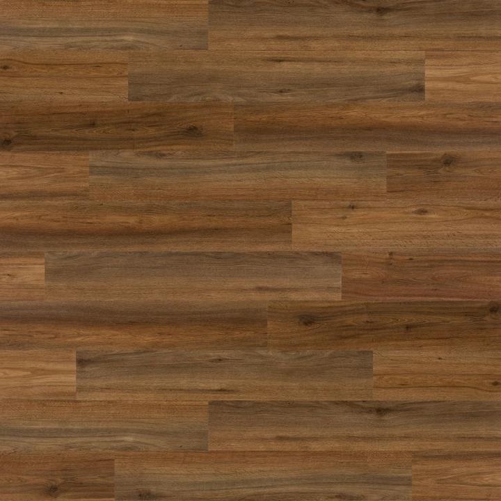 Saddle brown