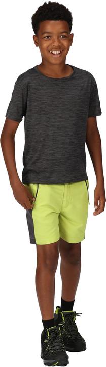 Actual product image Regatta Childrens/Kids Sorcer Mountain III Shorts (170, 176)