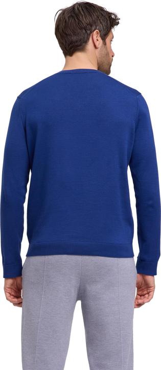 Actual product image Falke FAV Cotton V-Neck m (L)