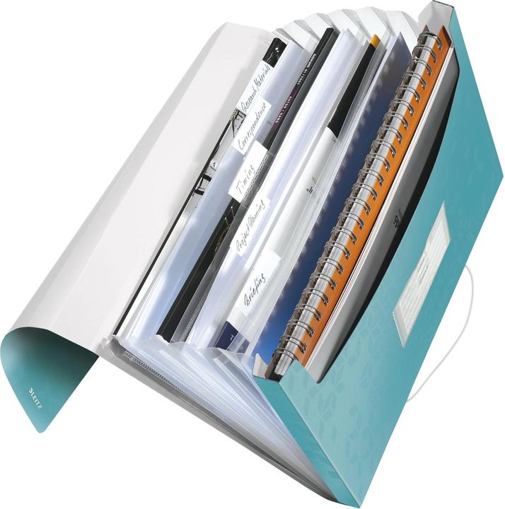 Actual product image Leitz Wow project folder (A4, 1 x)