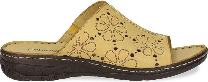 Image du produit Caprice Mule (38)