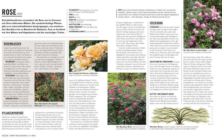 Immagine prodotto Grünes Gartenwissen. Pflanzen richtig schneiden (Tedesco, Stephanie Mahon, Reinhard Ferstl, Casa editrice DK, 2022)
