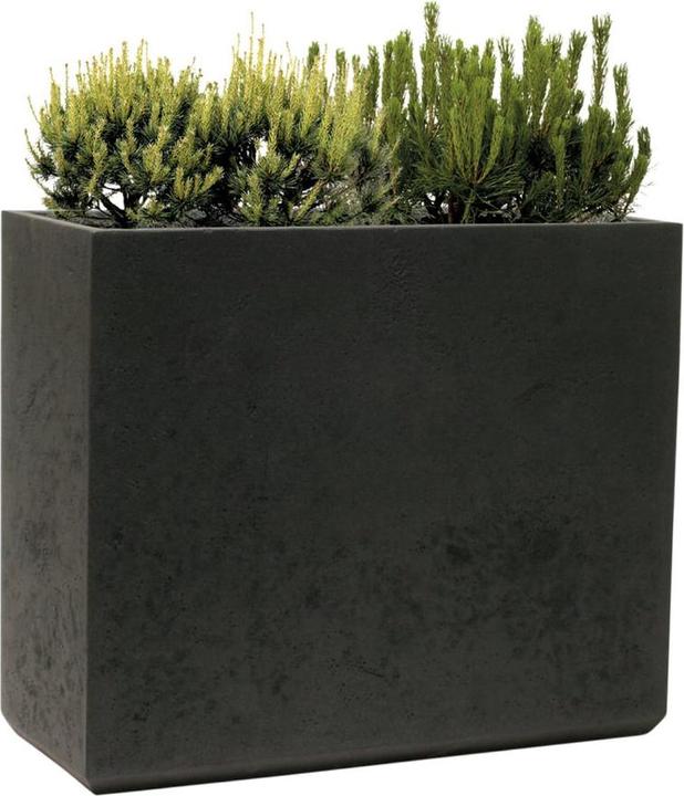 Immagine prodotto Kirschke Rockline (25 cm)
