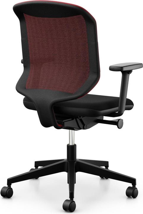 Actual product image Giroflex 434-3019