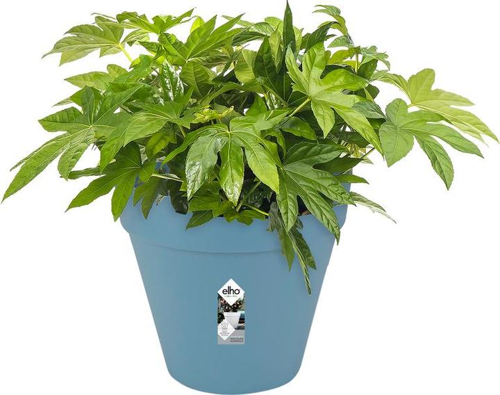 Produktbild Elho Loft Urban (50 cm)