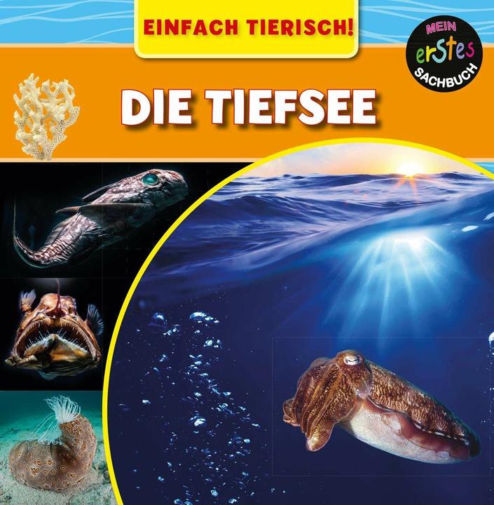 Produktbild Die Tiefsee (Deutsch, Mary-Jane Wilkins, 2017)
