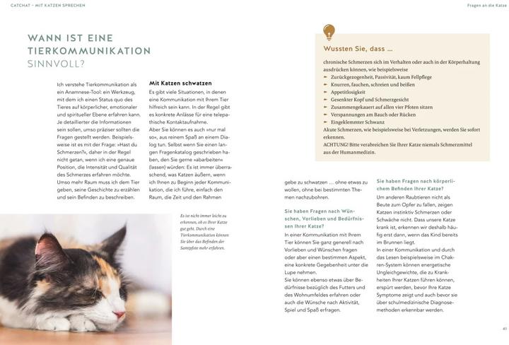 Actual product image Was will mir meine Katze sagen? (German, Helke Brandt, 2023)