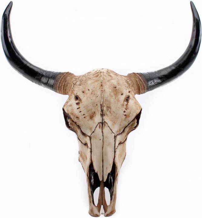 Interstil Texas Longhorn
