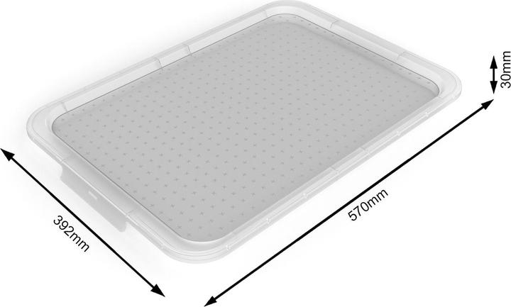 Produktbild Rotho Albris (57 x 39 x 3 cm, 45 l)
