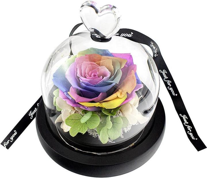 Immagine prodotto JTI Piccola rosa in una campana di vetro - colori dell'arcobaleno (15 cm)