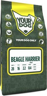 Produktbild Yourdog Beagle Harrier Pup (6050 g)