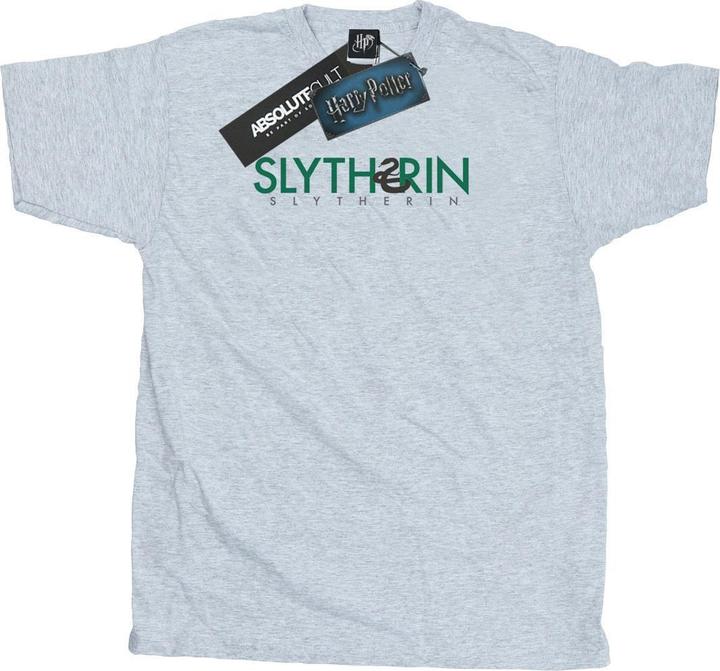 Actual product image Mens Slytherin Text T-Shirt (XXL)