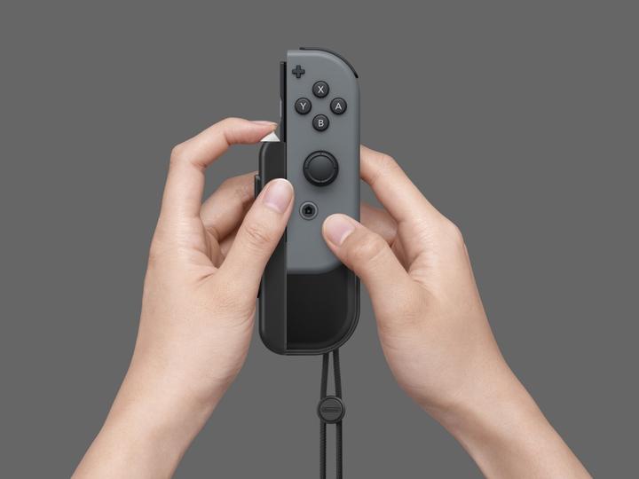 Actual product image Nintendo Joy-Con AA battery accessories set of two (Switch)