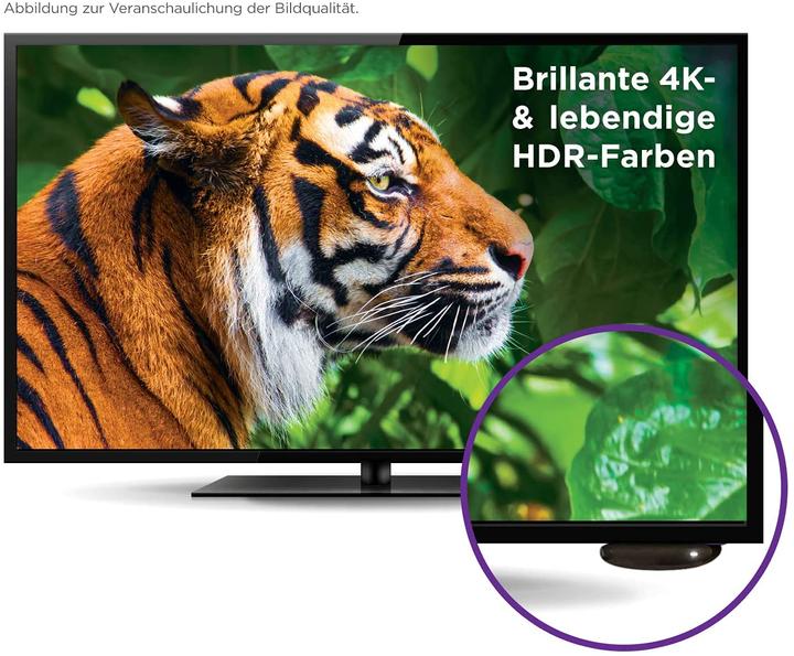 Produktbild Roku Express 4K