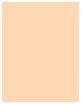 Actual product image MAC Cosmetics Studio Fix 24-Hour Smooth Wear Concealer (No. NC10)
