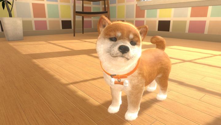 Actual product image Sold Out Little Friends: Dogs & Cats (Switch, DE)