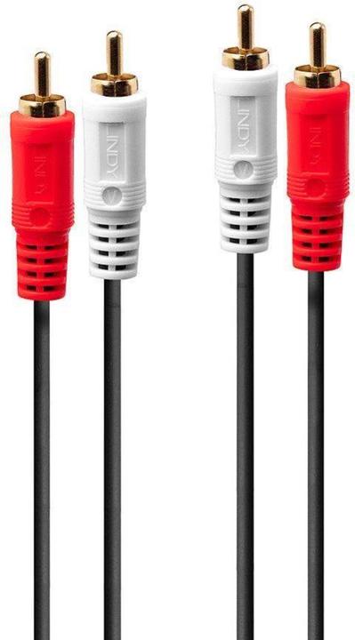 Actual product image Lindy Cinch socket - jack (0.25 m, 3.5mm jack (AUX), Cinch)