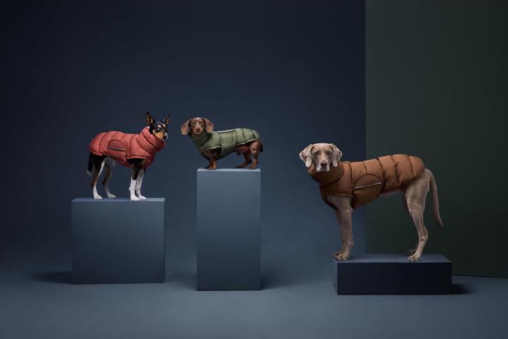 Produktbild Cloud 7 Alaska (6, Hundemantel)