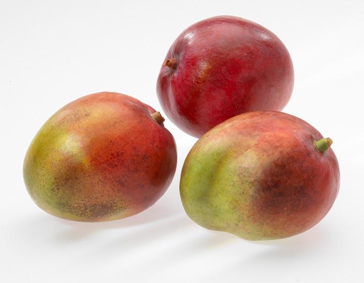 Produktbild GEFU Schneider für Mangofrüchte, 13580
