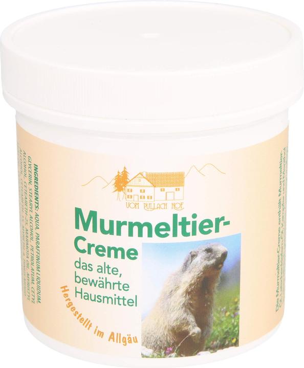 Immagine prodotto Axisis Crema Pullach Hof Marmotta, 250 ml Crema (Crema corpo, 250 ml)