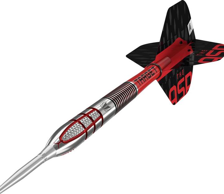 Immagine prodotto Target Nathan Aspinall G2 SP (24 g)