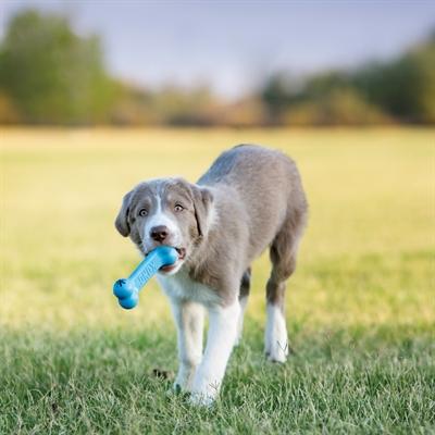 Immagine prodotto KONG Cucciolo Goodie Bone (Giochi per cuccioli)