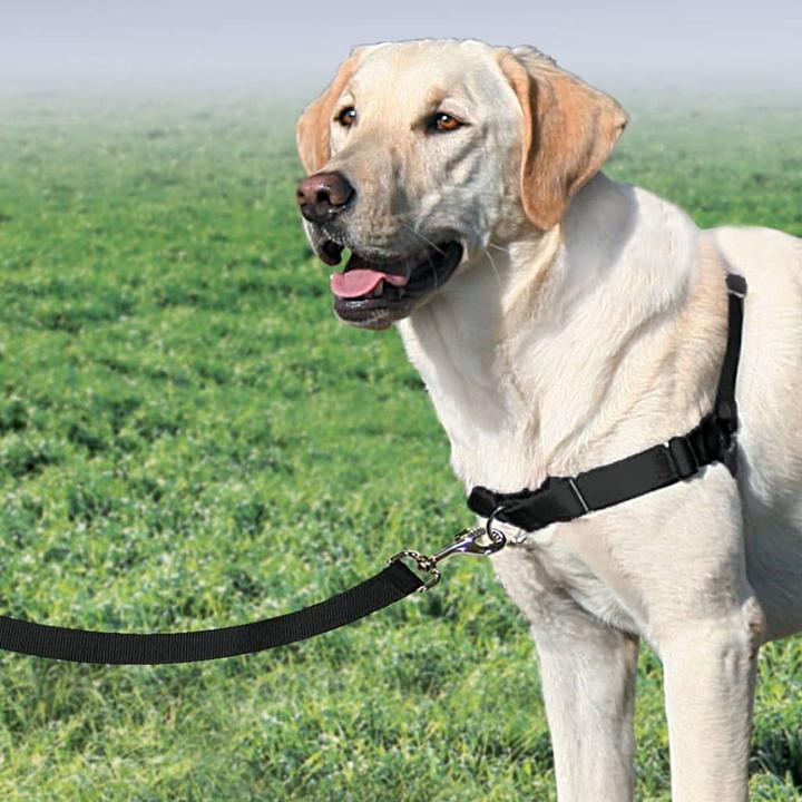 Actual product image PetSafe Easy Walk (L, Dog, Walks)