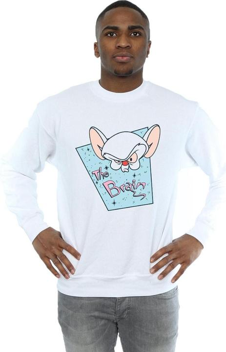 Image du produit Universal Textiles - Sweat THE BRAIN MUGSHOT - Homme (M)