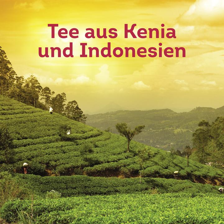 Actual product image Lipton Tea bag (1.80 g)