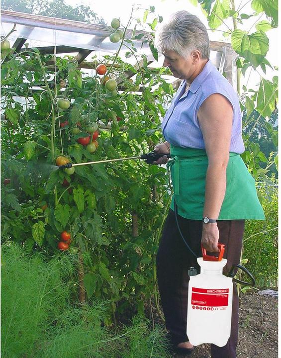 Actual product image Birchmeier Garden Star 3 (3 l)