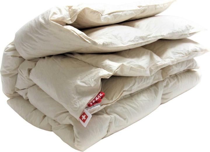 Image du produit Zizzz Couette en duvet d'oie premium (810 g, 200 x 210 cm)
