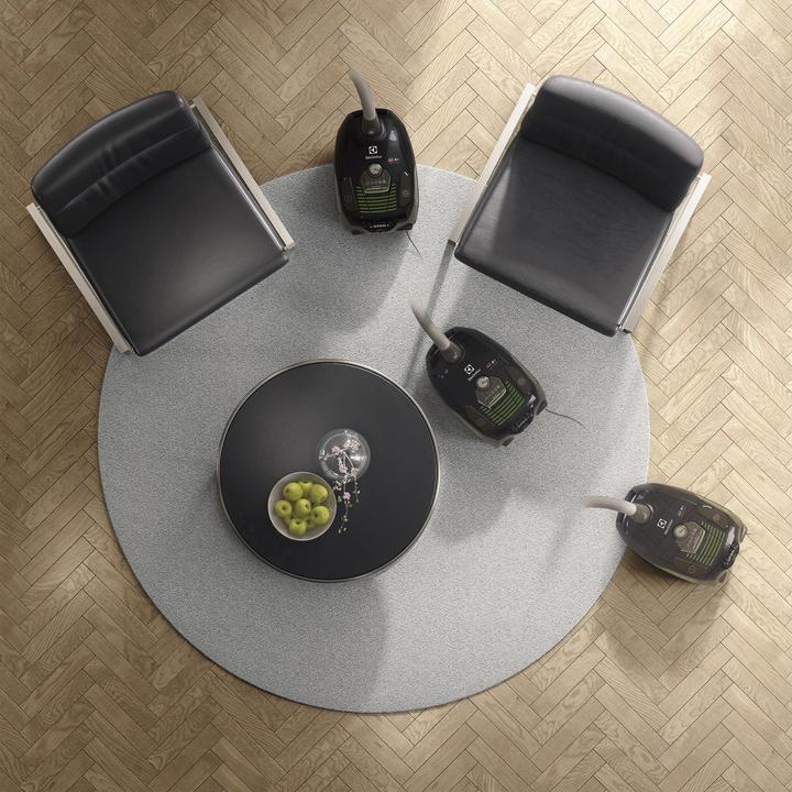 Actual product image Electrolux Silent Performer ZSPGREEN