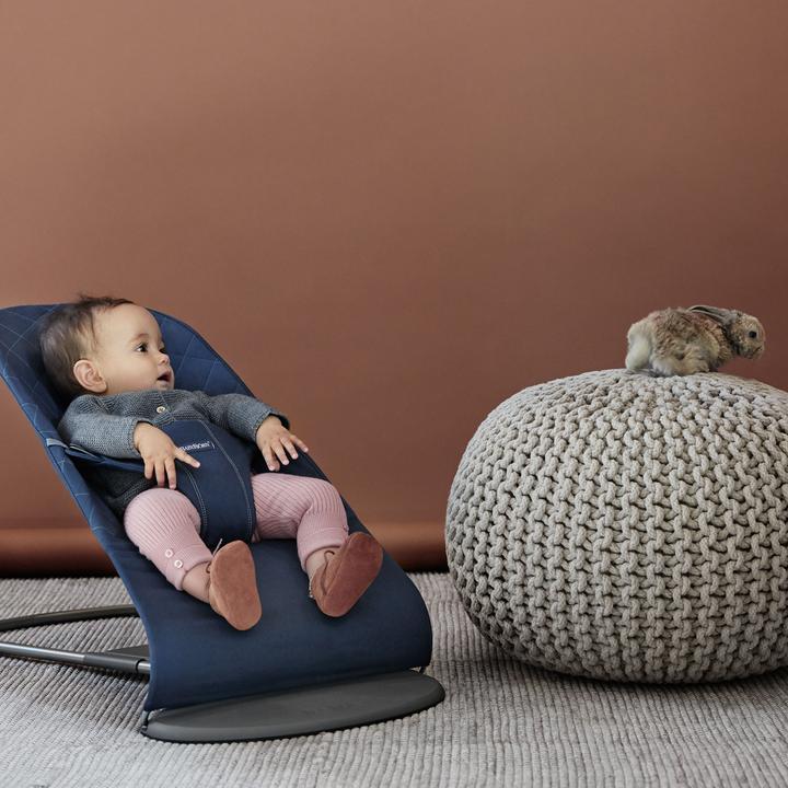 Actual product image BabyBjörn Bliss